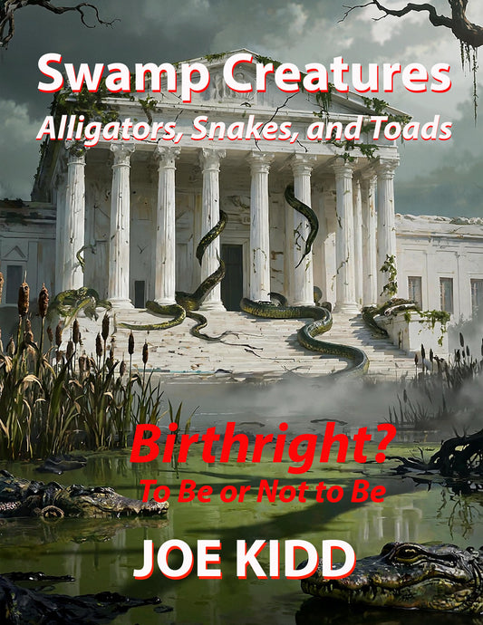 Birthright Citizenship: To Be or Not To Be (PDF)